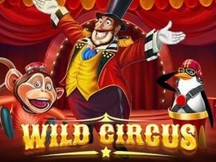 Wild Circus game thumbnail